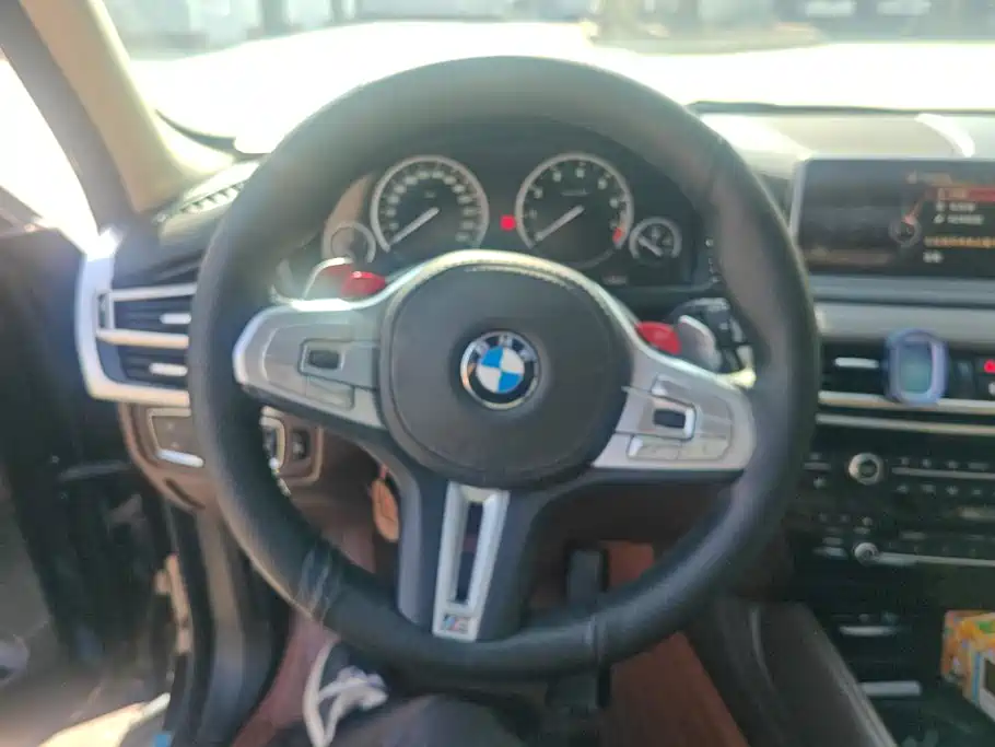 BMW X5 (Import) — миниатюра 15