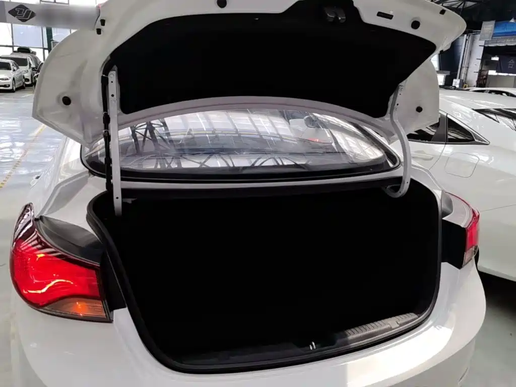 Hyundai Elantra Langdong — миниатюра 19