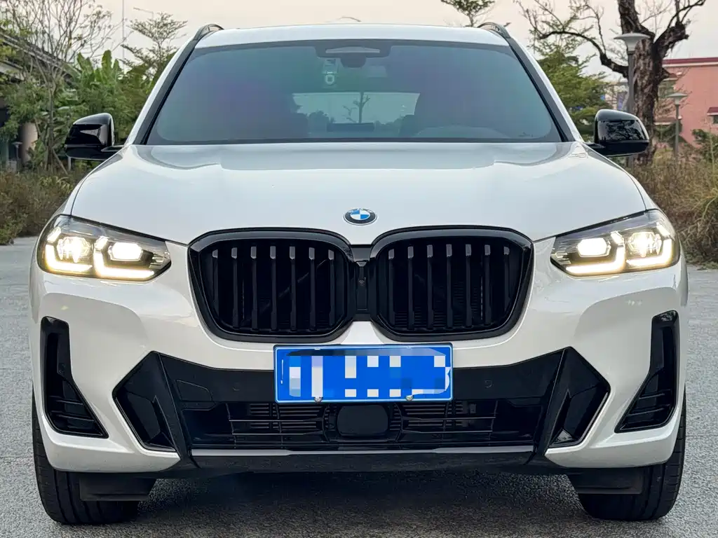 BMW X3 — миниатюра 2