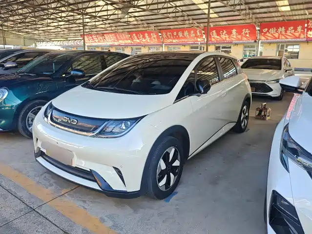 BYD Dolphin
