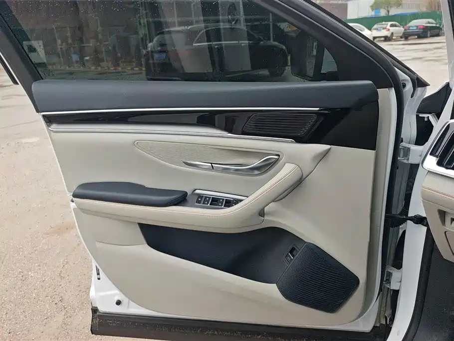 BYD SONGJIANG NEW ENERGY