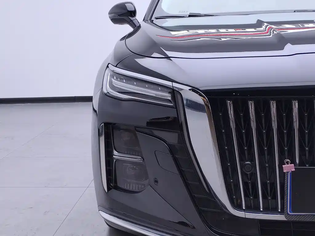Hongqi H5 2024 2.0T AT