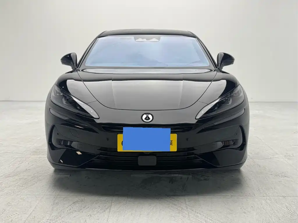 Denza Denza Z9GT