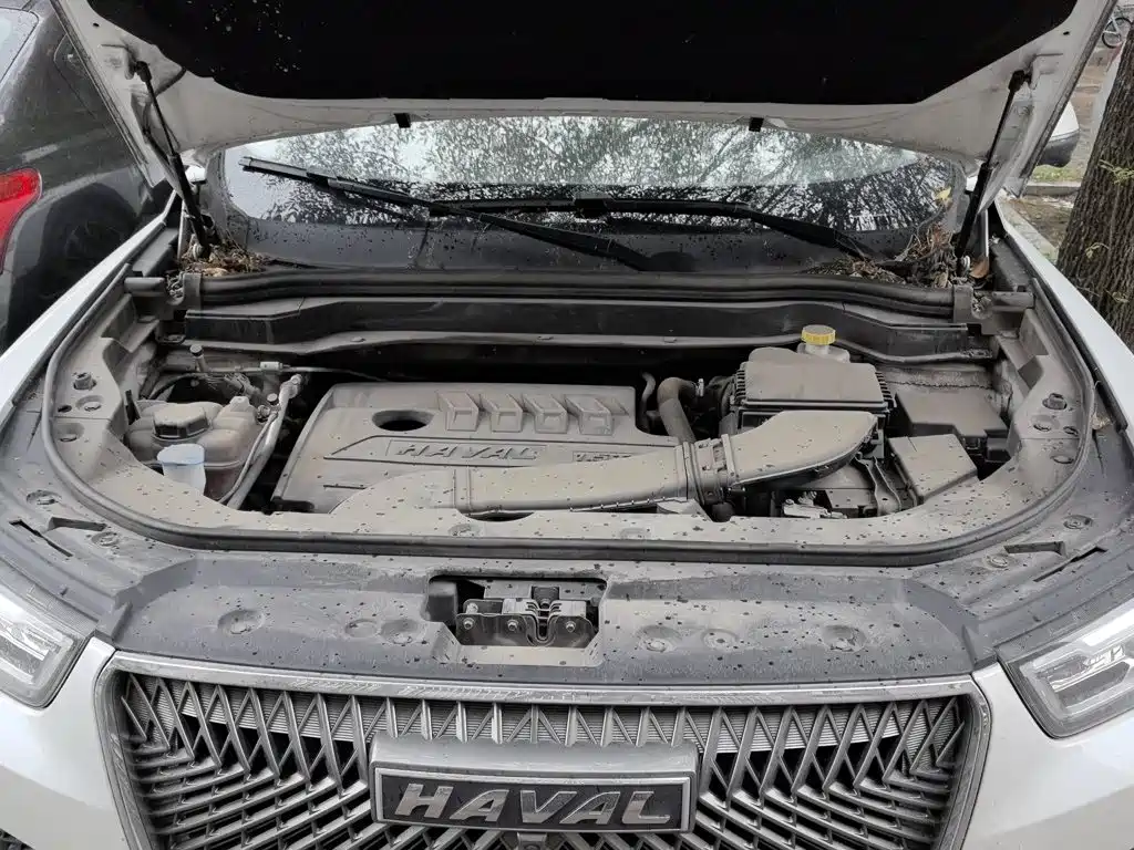 Haval H6 — миниатюра 16