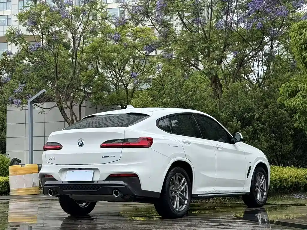 BMW X4 2019 xDrive25i M Sport