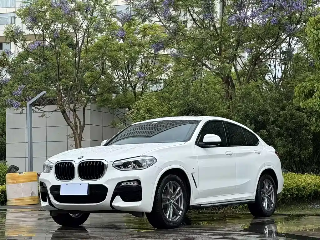 BMW X4 2019