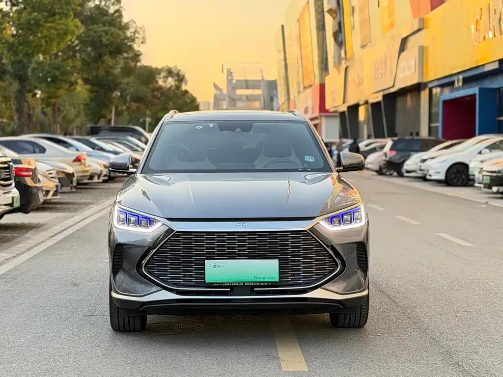 BYD PLUS New Energy - фото 2