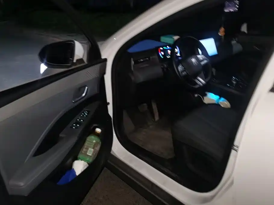 BYD Qin PLUS — миниатюра 9
