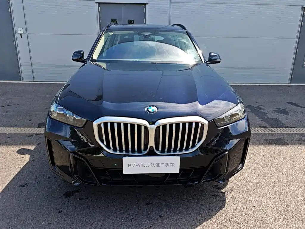 BMW X5 — миниатюра 2