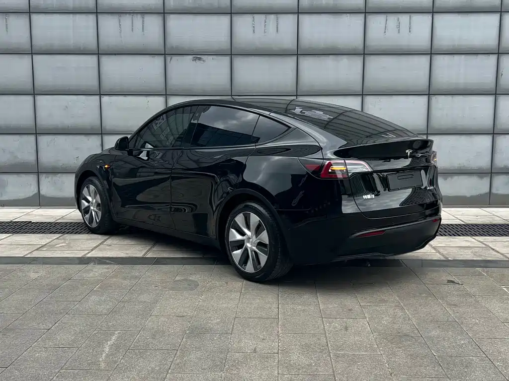 Tesla Model Y — миниатюра 11