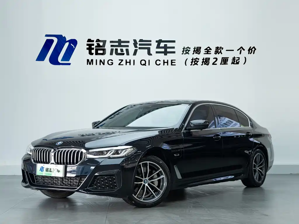 BMW 5 Series New Energy — миниатюра 2