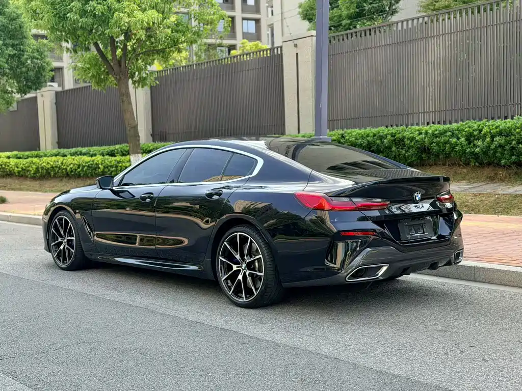 BMW 8 Series — миниатюра 14