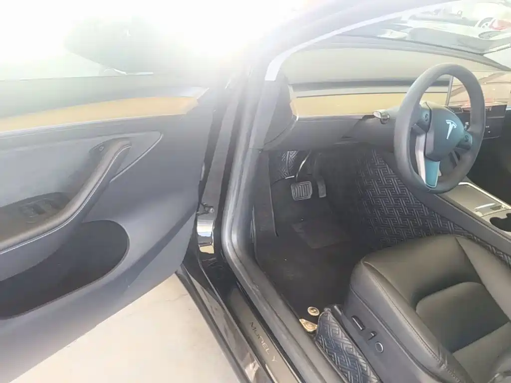 Tesla Model Y — миниатюра 16