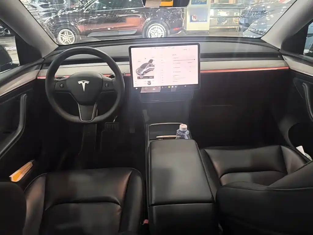 Tesla Model Y — миниатюра 10