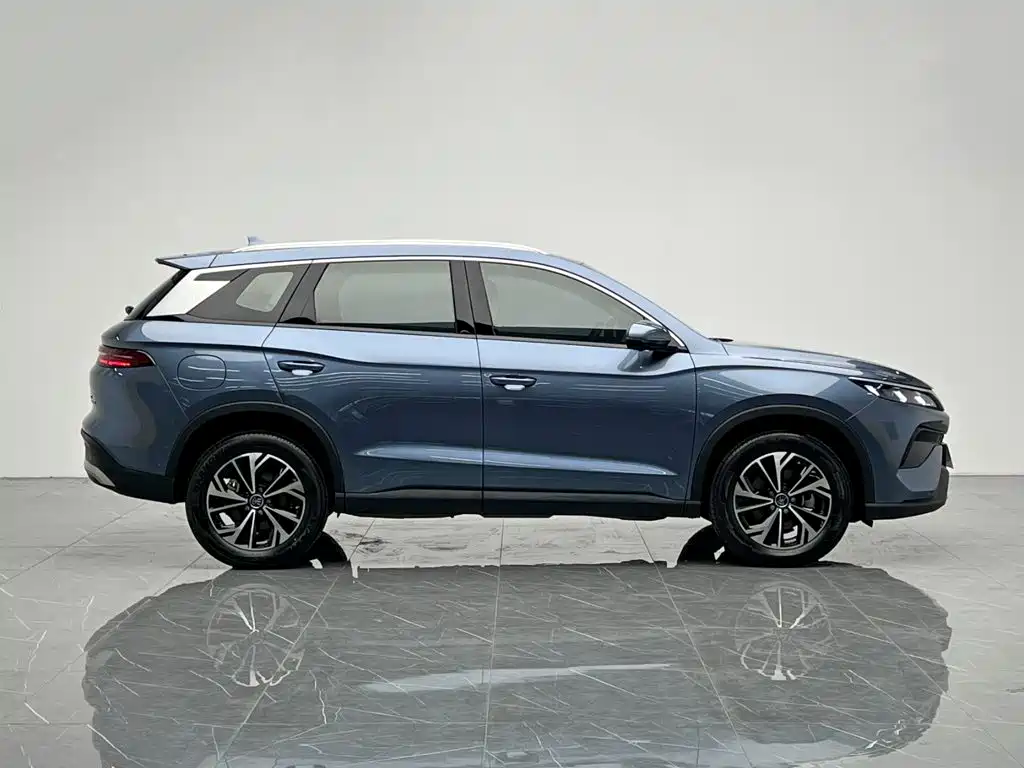 BYD Pro New Energy — миниатюра 6