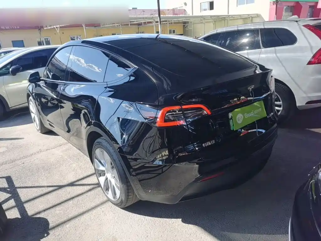 Tesla Model Y — миниатюра 5