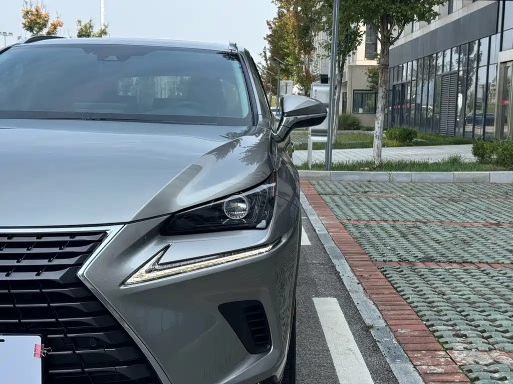 Lexus NX — миниатюра 3