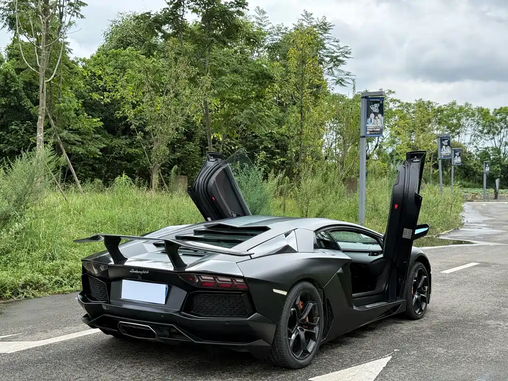 Lamborghini Aventador — миниатюра 14