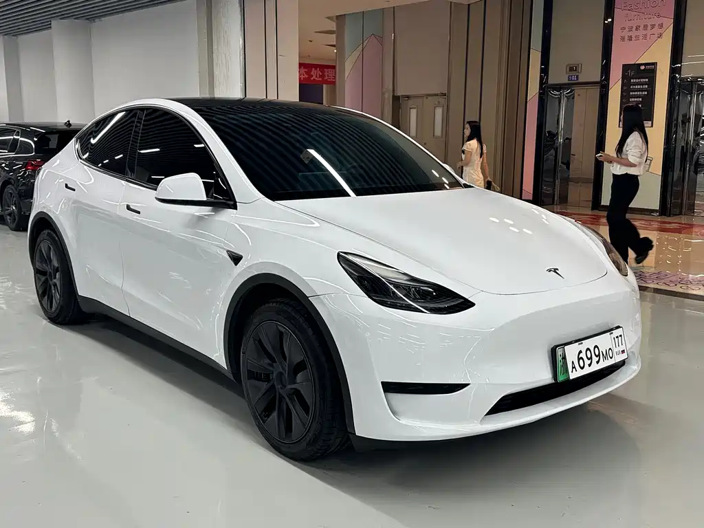 Tesla Model Y — миниатюра 3