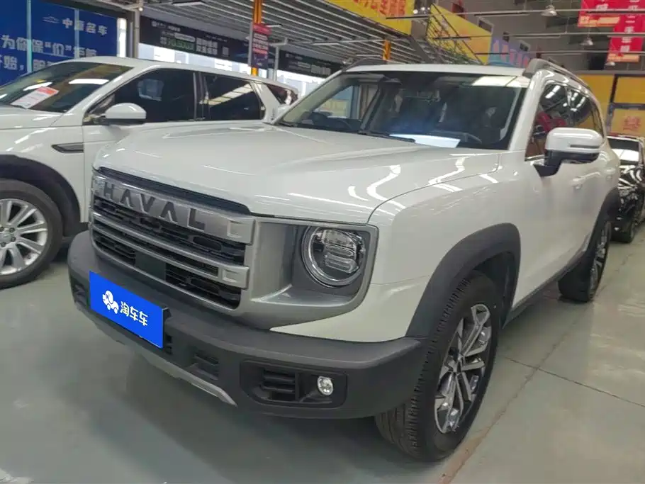 HAVAL BIG DOG
