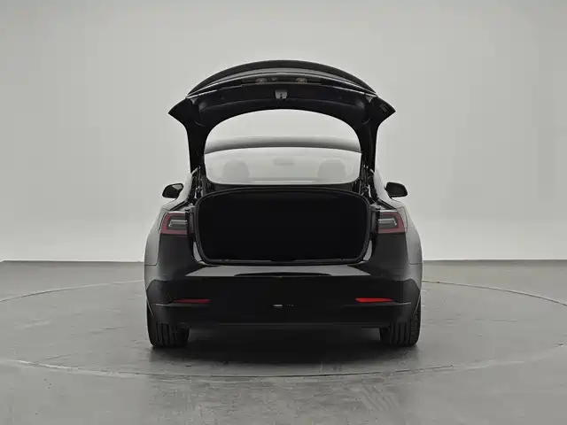 Tesla Model 3 — миниатюра 13