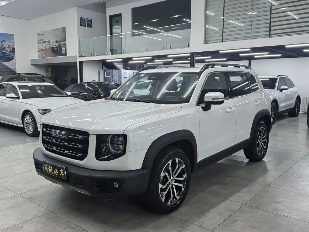 Haval Big Dog 2020