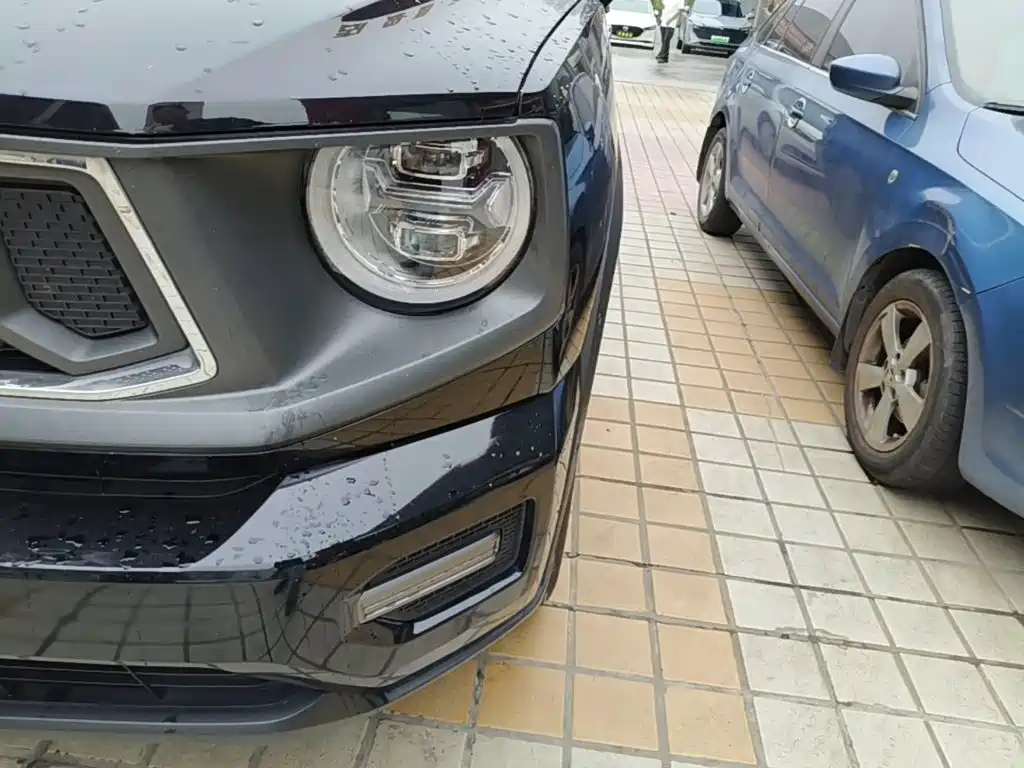 Haval Big Dog PLUS New Energy — миниатюра 24