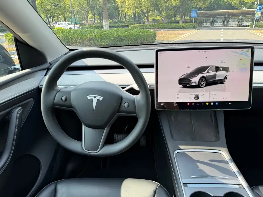 Tesla Model Y — миниатюра 11