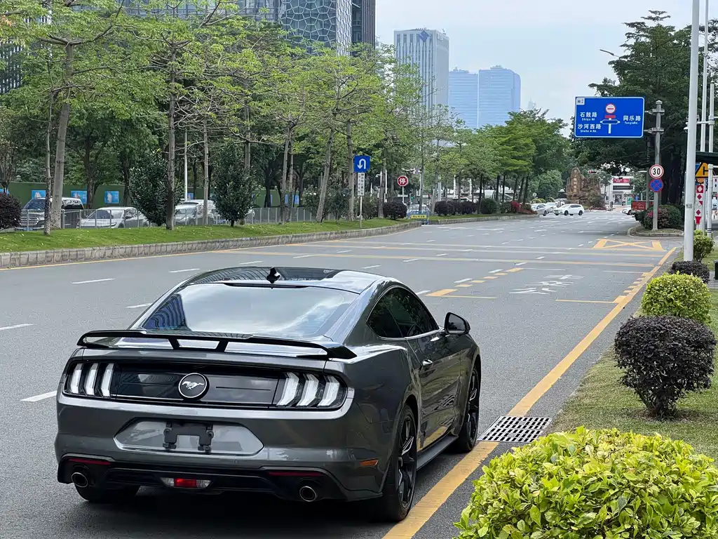 Ford Mustang — миниатюра 20