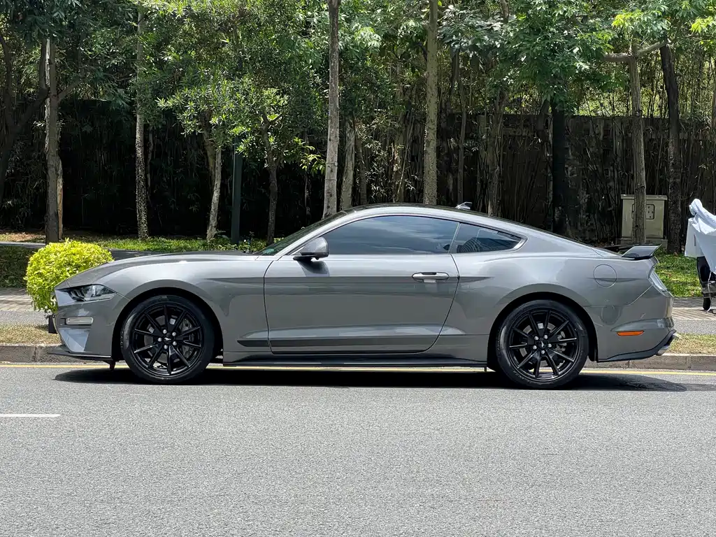 Ford Mustang — миниатюра 4