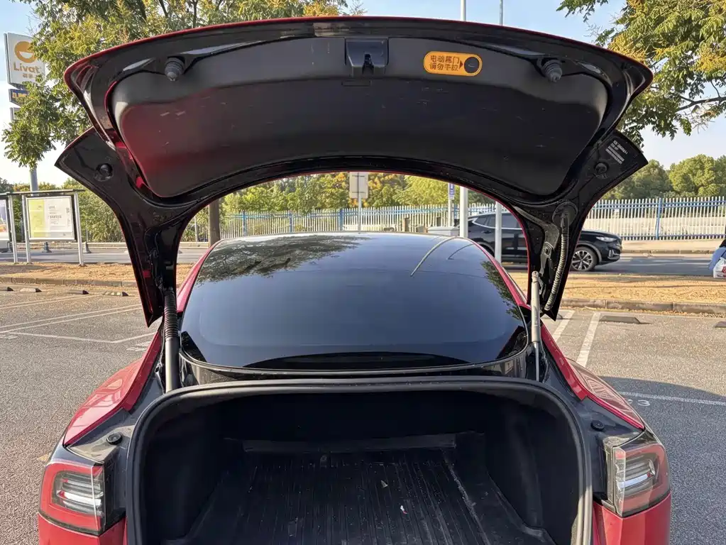 Tesla Model 3 — миниатюра 10