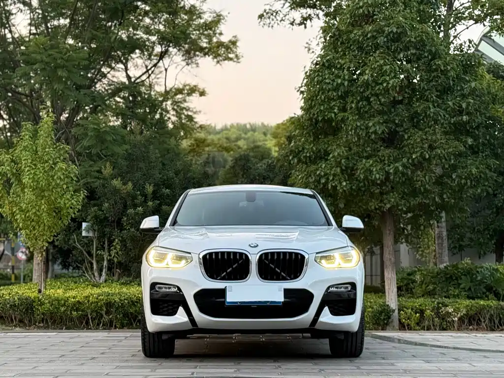 BMW X4 2019 xDrive25i M Sport