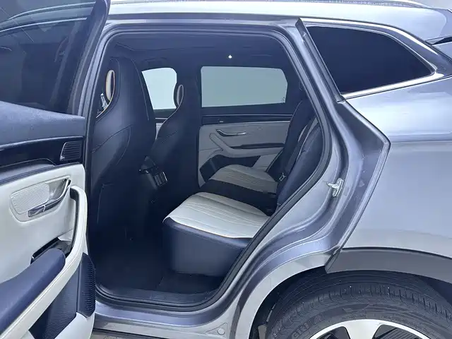 BYD PLUS New Energy — миниатюра 13