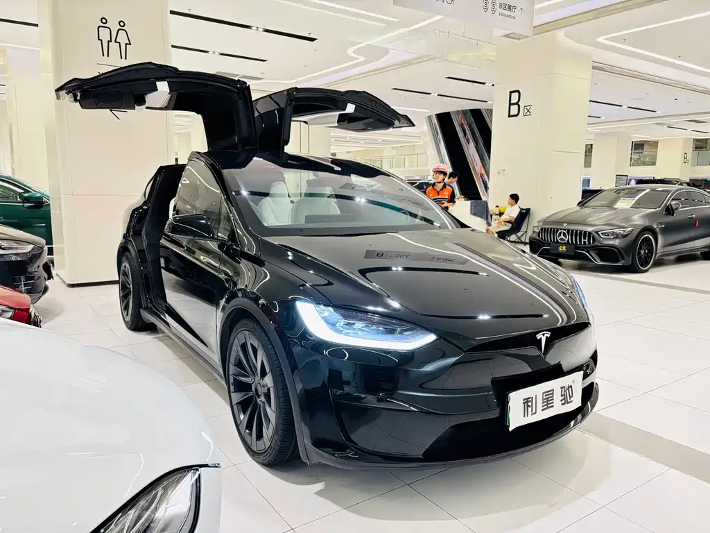 Tesla Model X — миниатюра 2
