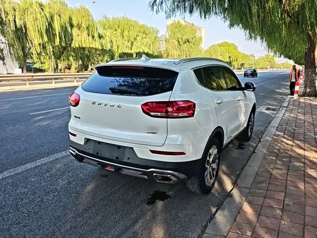Haval H6 — миниатюра 7