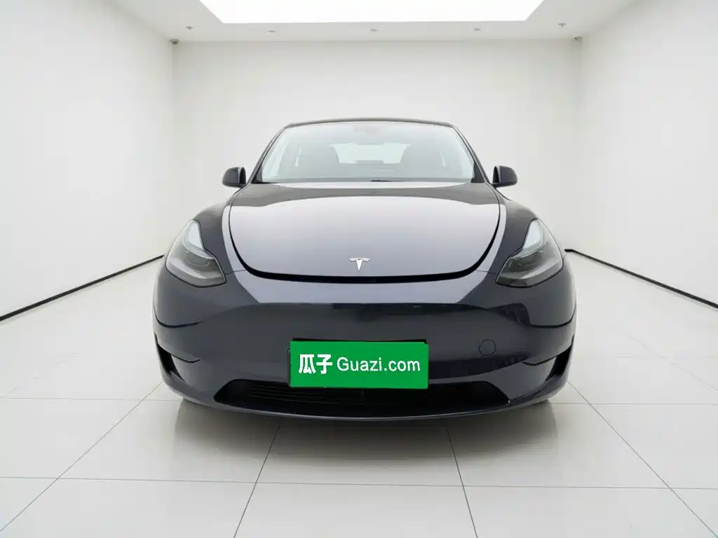 Tesla Model Y — миниатюра 2