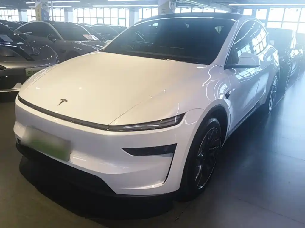 Tesla Model Y L
