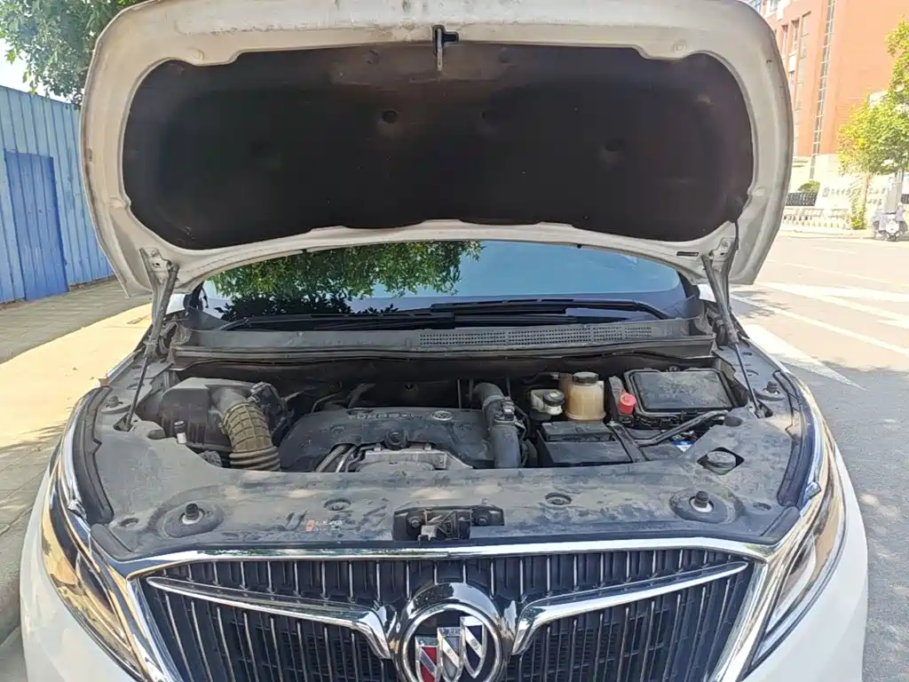 Buick GL8 — миниатюра 20