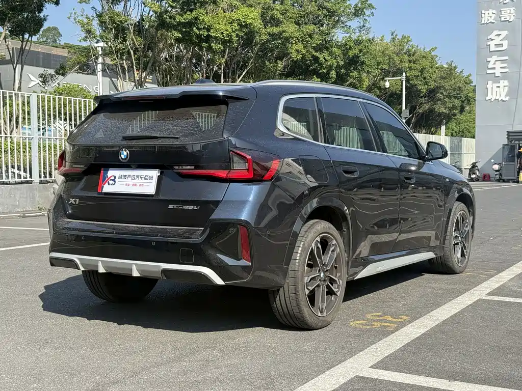 BMW X1 — миниатюра 6