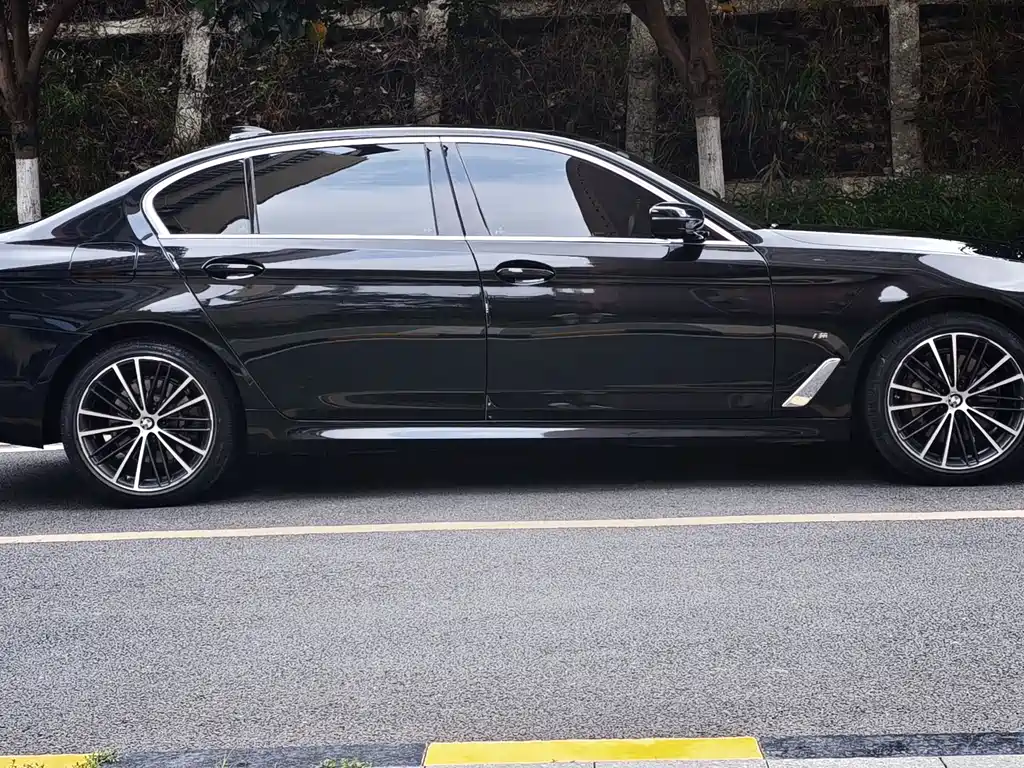 BMW 5 Series 5 2021 530Li Lead Luxury