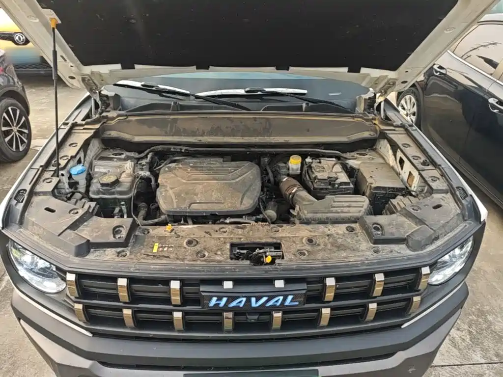 Haval Cool Dog — миниатюра 20