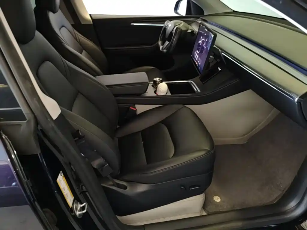Tesla Model Y — миниатюра 25