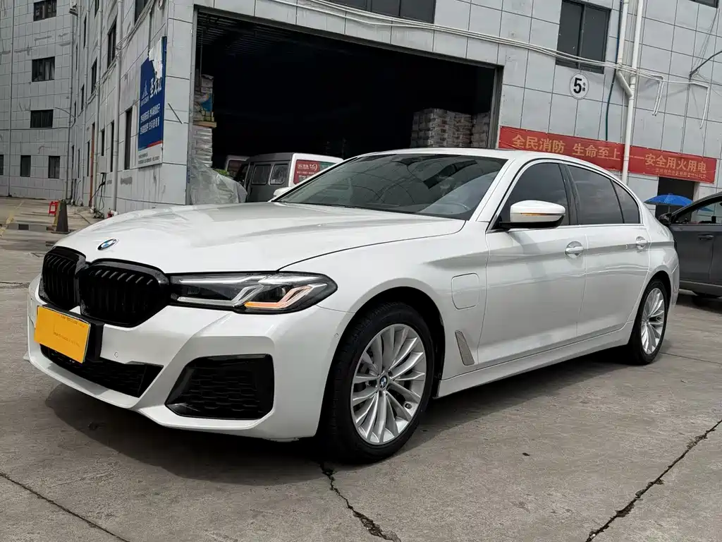 BMW 5 Series New Energy 2020