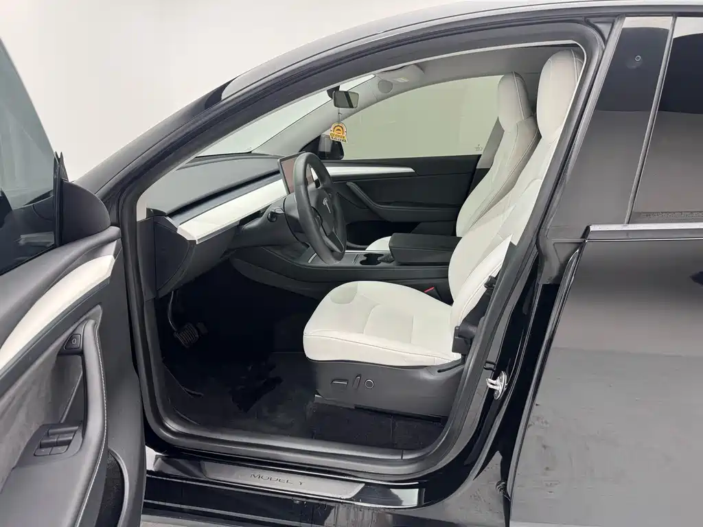 Tesla Model Y — миниатюра 6