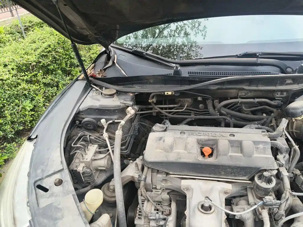 Honda Accord — миниатюра 22