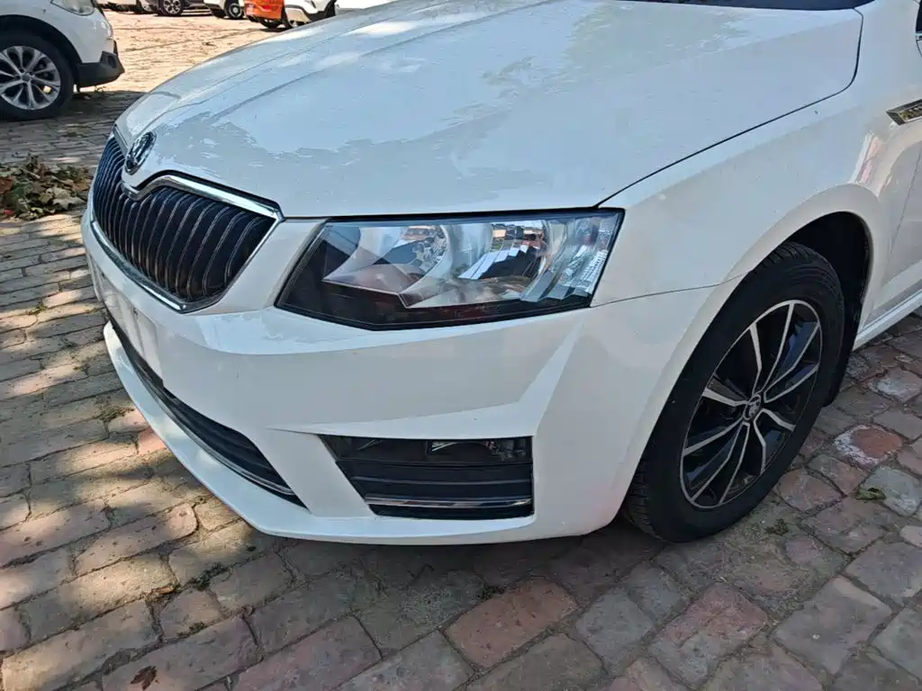 Skoda Octavia — миниатюра 24