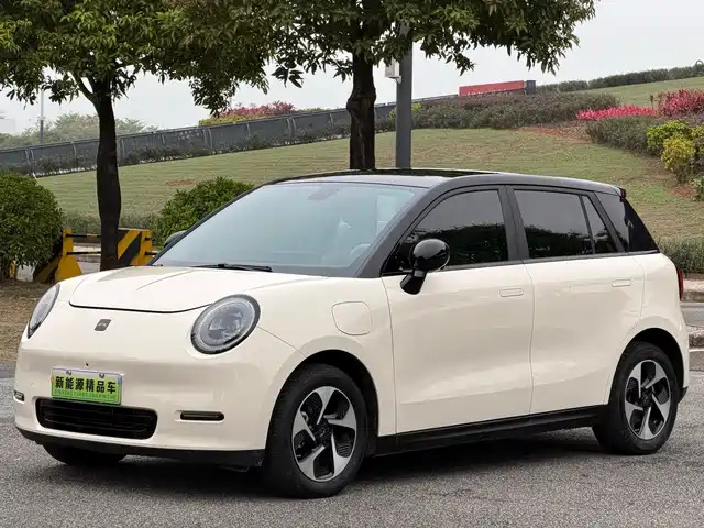 JAC Motors YTTRIUM IS 3 2024