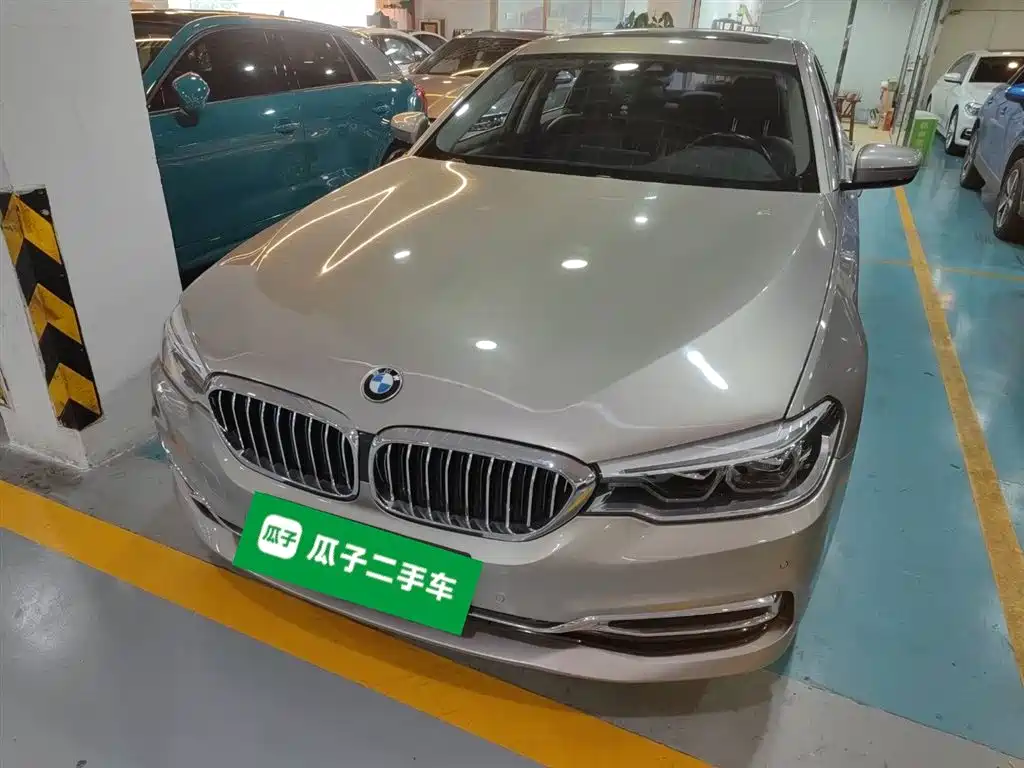 BMW 5 Series New Energy 2019
