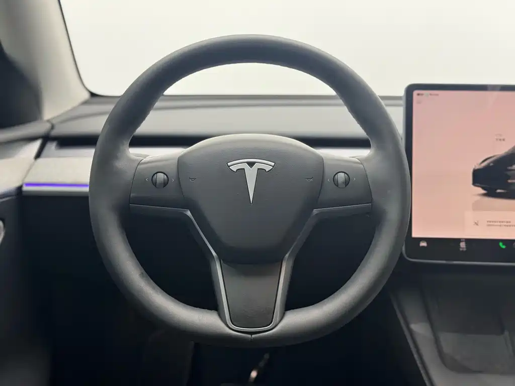 Tesla Model Y — миниатюра 9