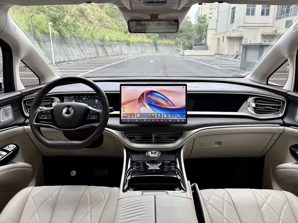 Denza Denza D9 — миниатюра 6